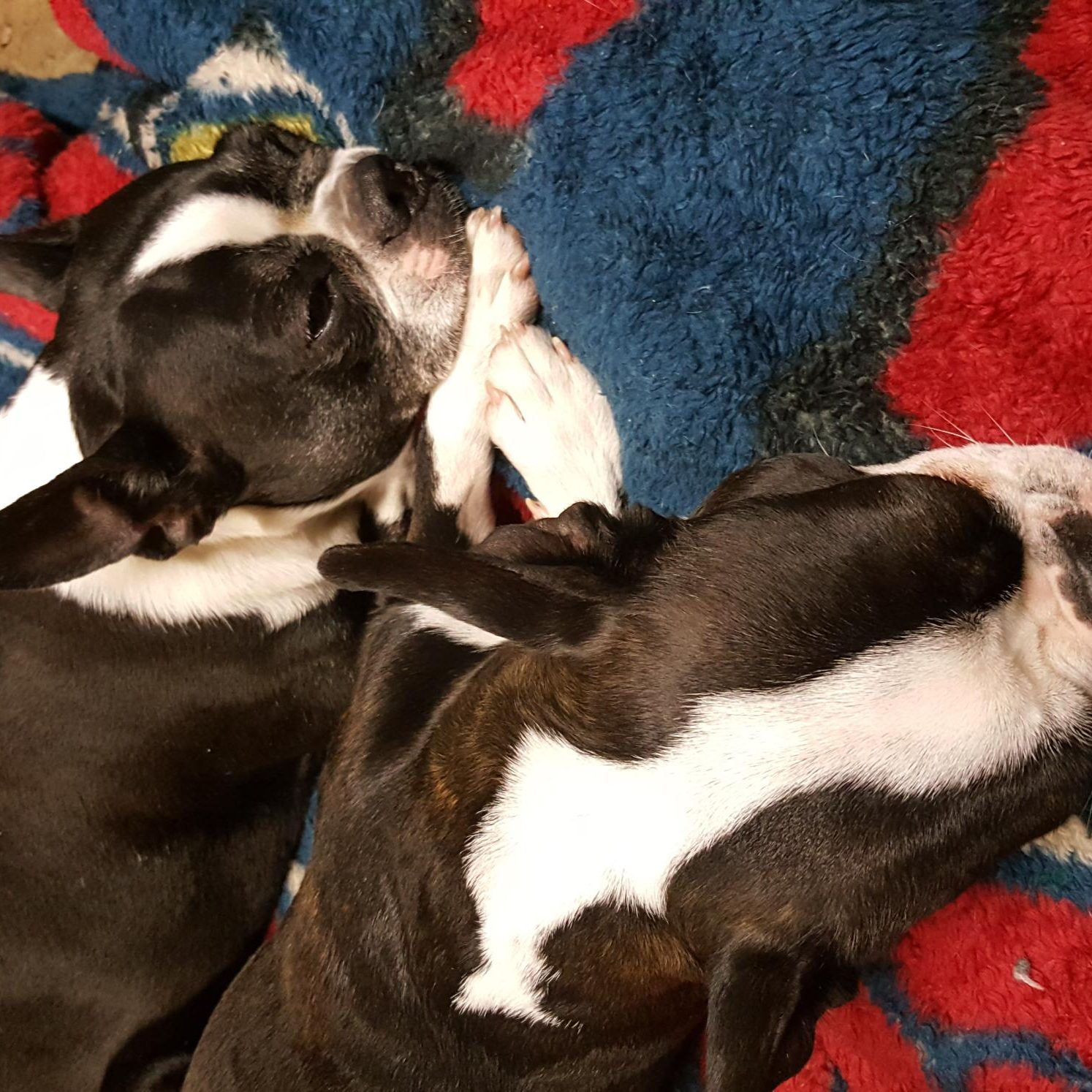 Emmie and Ellie